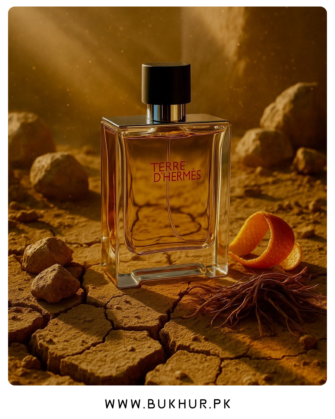 Terre D’hermes For Men By Hermes